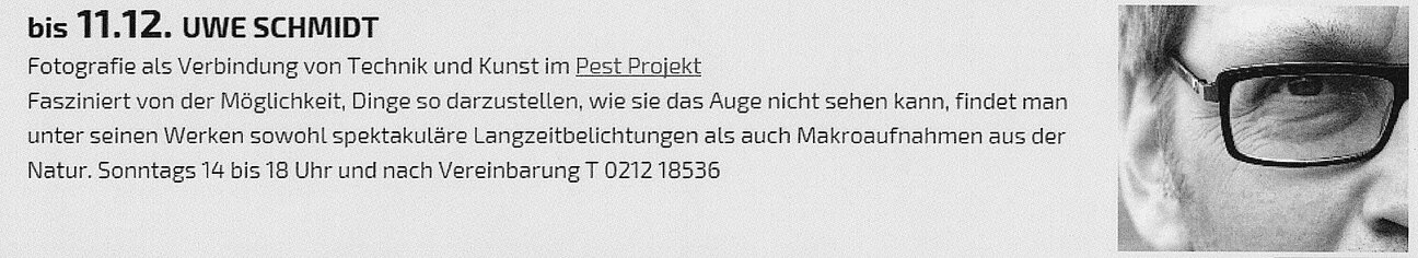 Homepage-Pest-Projekt-2500